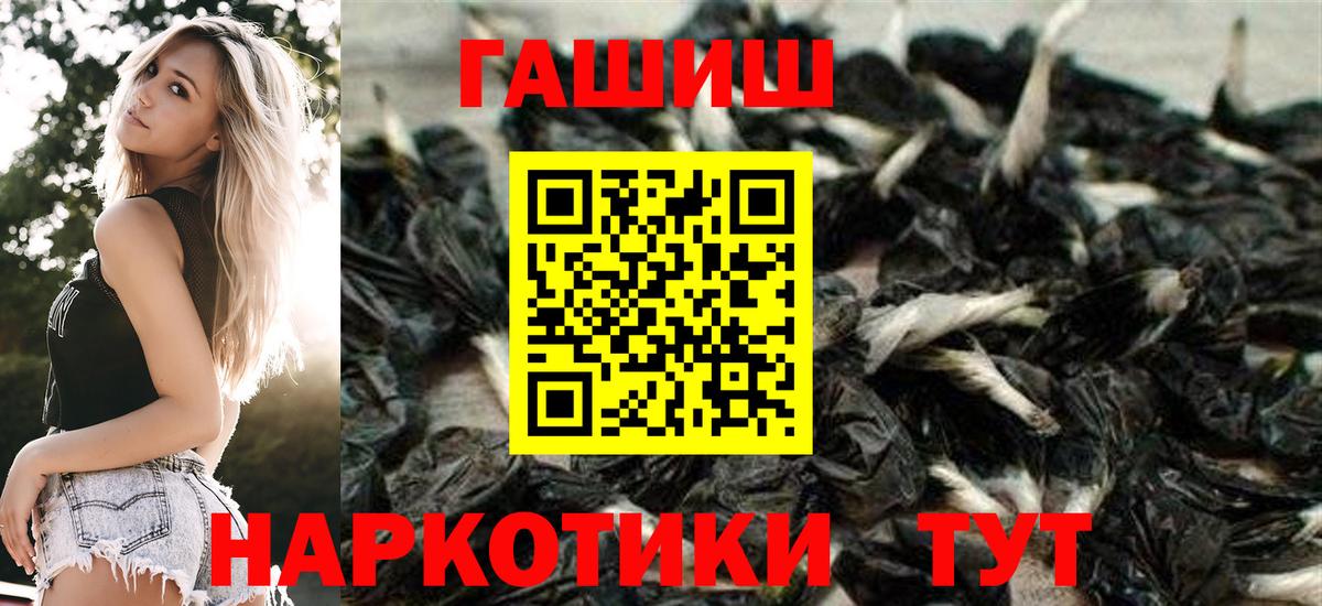 ГАШ  Кольчугино  где найти наркотики  Гашиш hashish  ГАШ Изолятор 