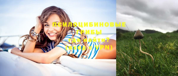 ECSTASY Пролетарск