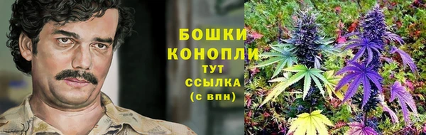 ALPHA PVP Покачи