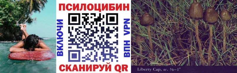 Галлюциногенные грибы MAGIC MUSHROOMS Кольчугино