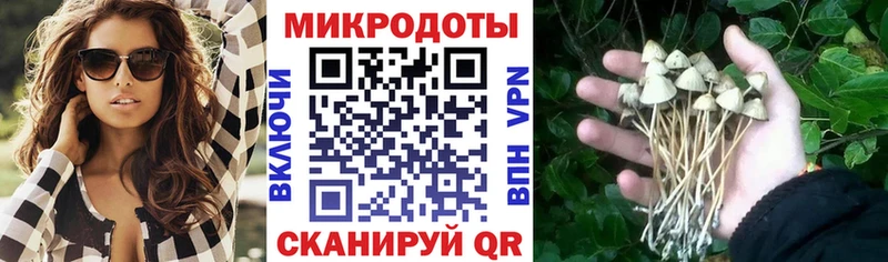 Галлюциногенные грибы мицелий  omg сайт  Кольчугино 