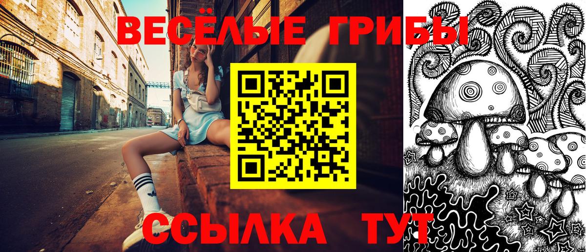 Псилоцибиновые грибы Psilocybe  Вход с VPN  Кольчугино 