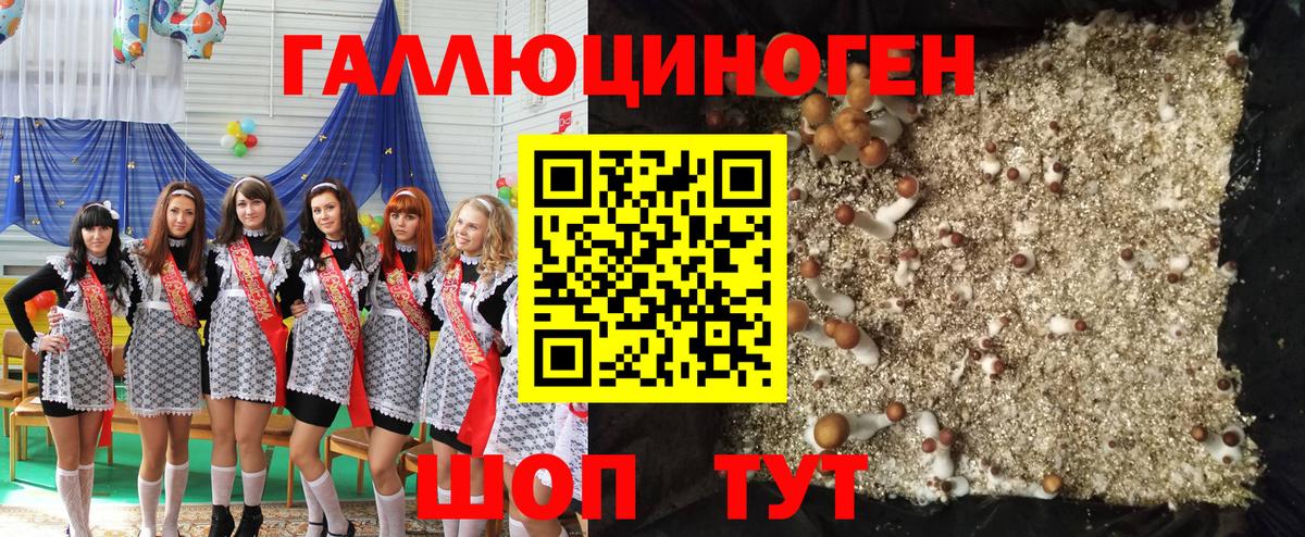 Галлюциногенные грибы MAGIC MUSHROOMS Кольчугино